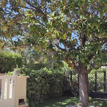 Maison T2 Climatisee Avec Petit Jardin Dans Impasse Calme Semesterbostad *